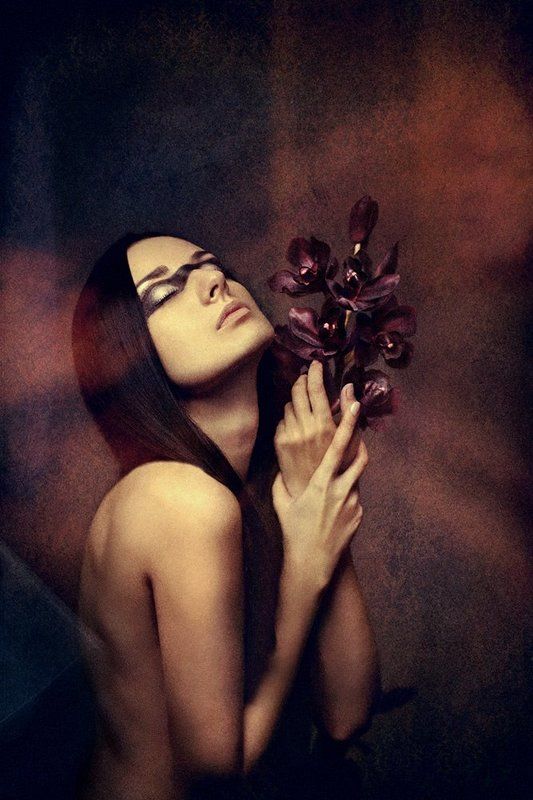 kleo, , black, , orchid, , photokleo.info black orchid фото превью