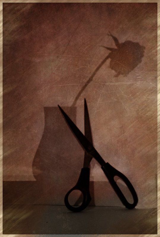 Палач фото превью