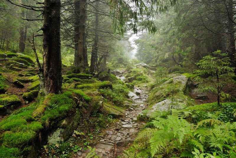 иди на свет фото превью