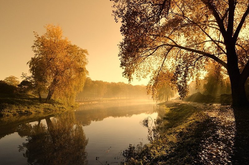 Осенние прогулки II фото превью