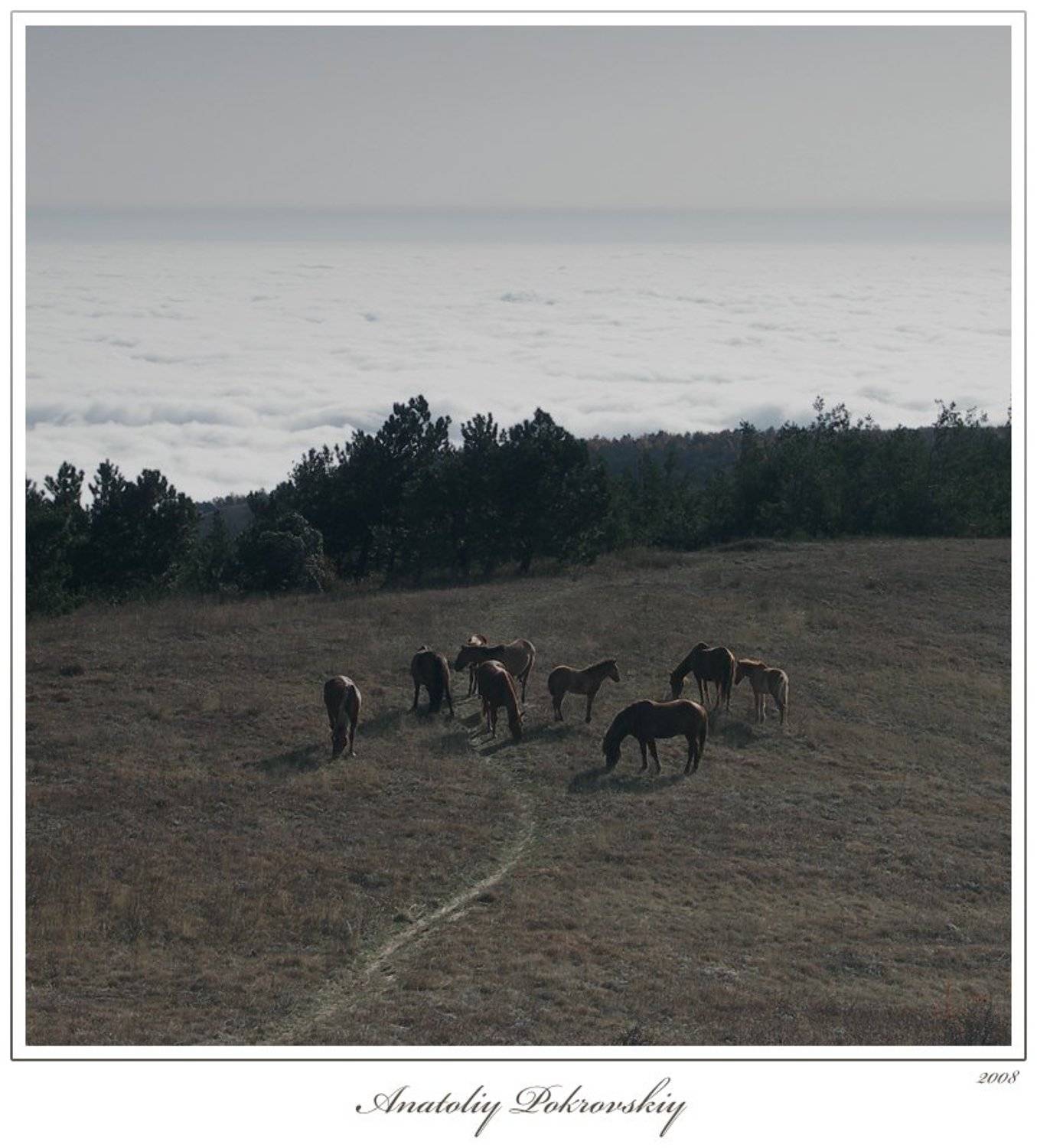демерджи, кони, облака, горы, анатолий покровский, Анатолий Покровский