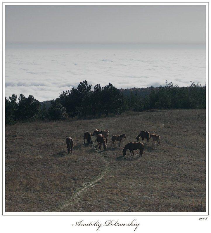 Заоблачные кони фото превью
