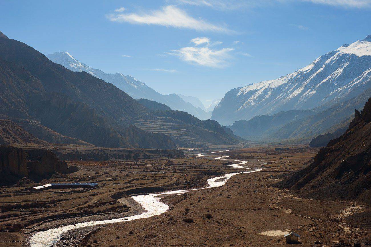 , Роман Николаев