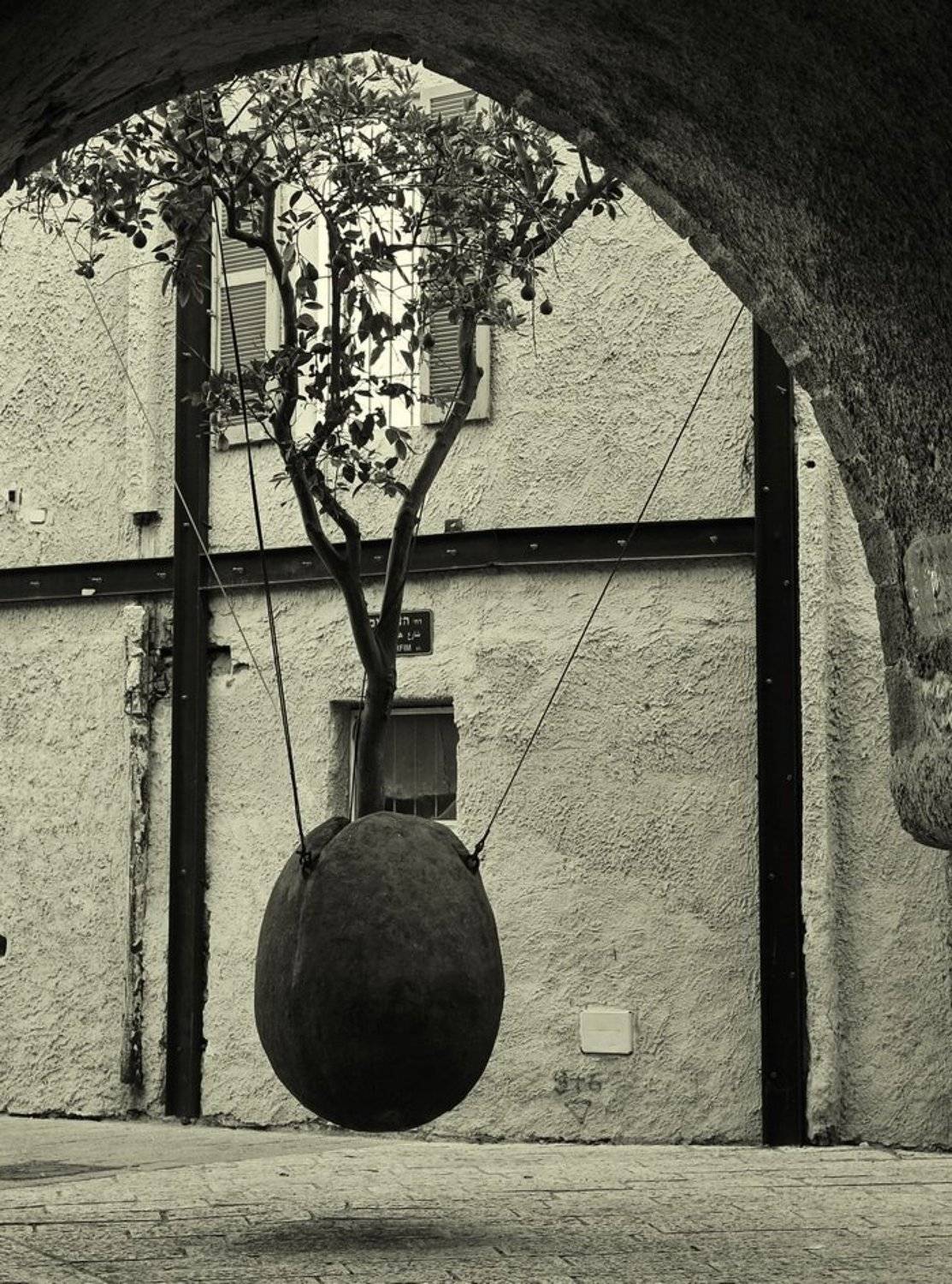 город, дерево, Vasylevskyy Vitaliy