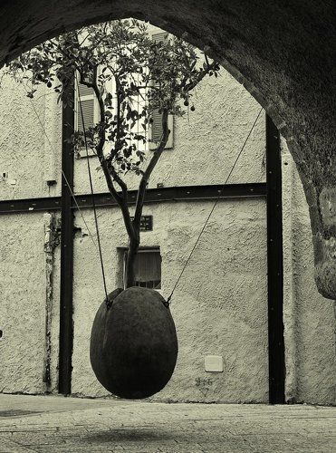 соседство живого...