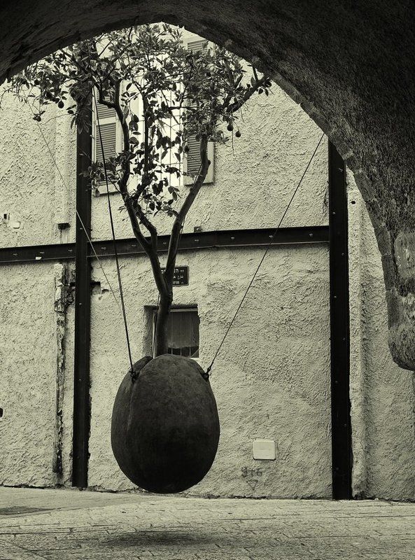 город, дерево соседство живого... фото превью