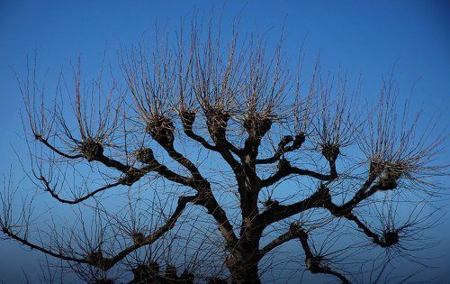 осенний каприз