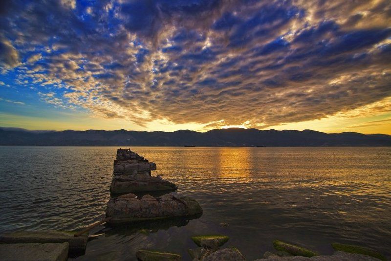 К тем берегам фото превью