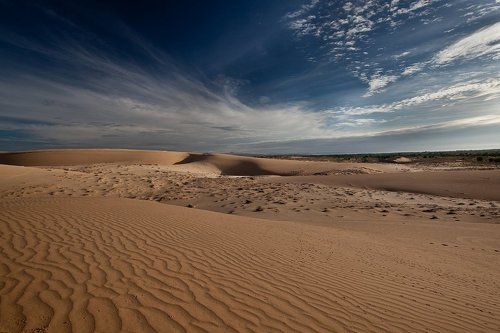Desert.