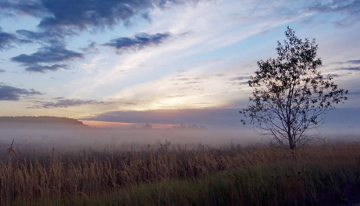 , Людмила Прокофьева