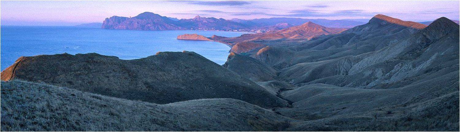 , Алексей Пучков