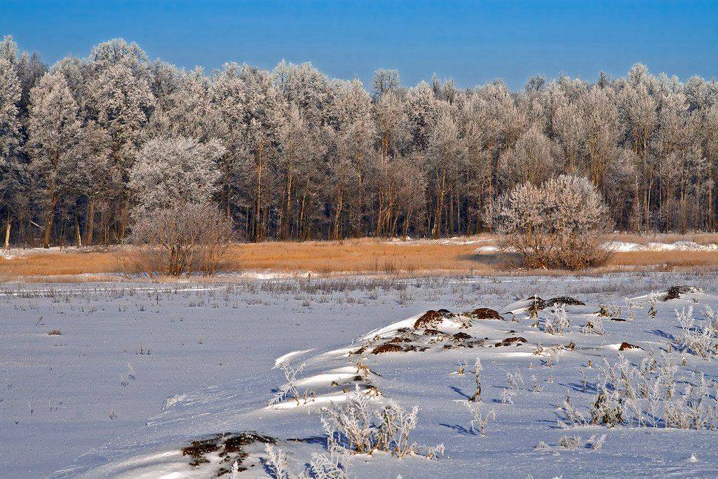 , Kuchkai_murza