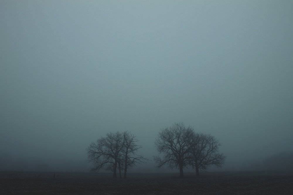 , Максим Филипов