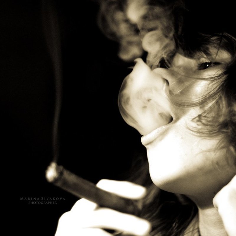 В паутине фото превью