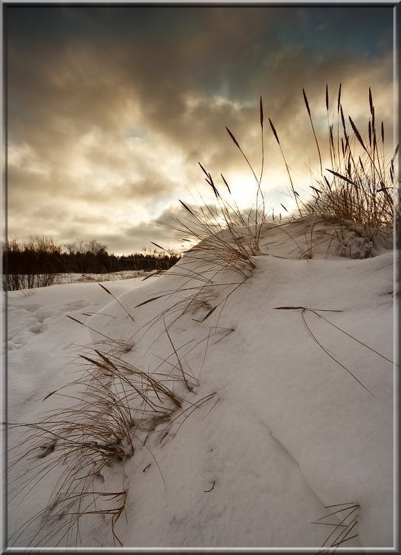 vecher v djunah фото превью