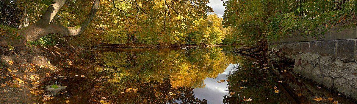осень, отражение, вода, листья, панорама, White