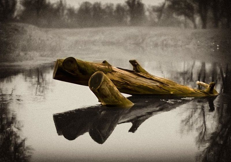 something in the morning fog... фото превью