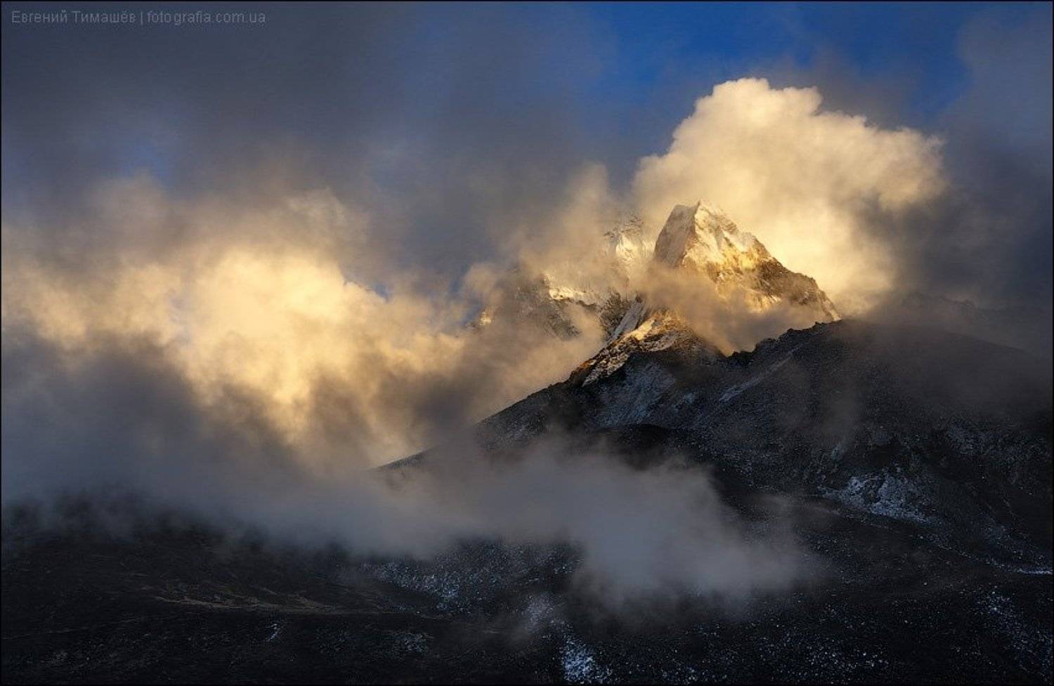 , Евгений Тимашёв