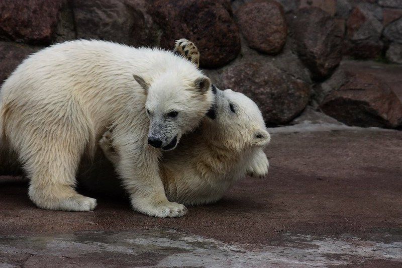 Мужские забавы на свежем воздухе фото превью