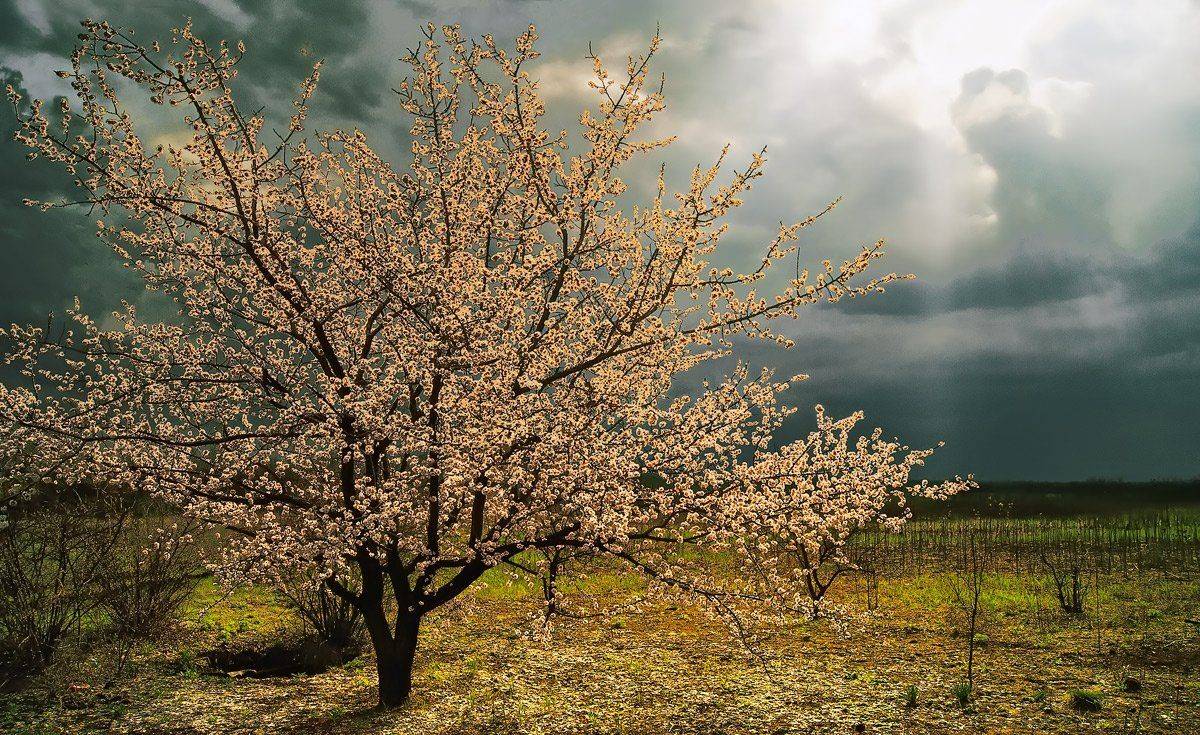 , Сергей Иванов