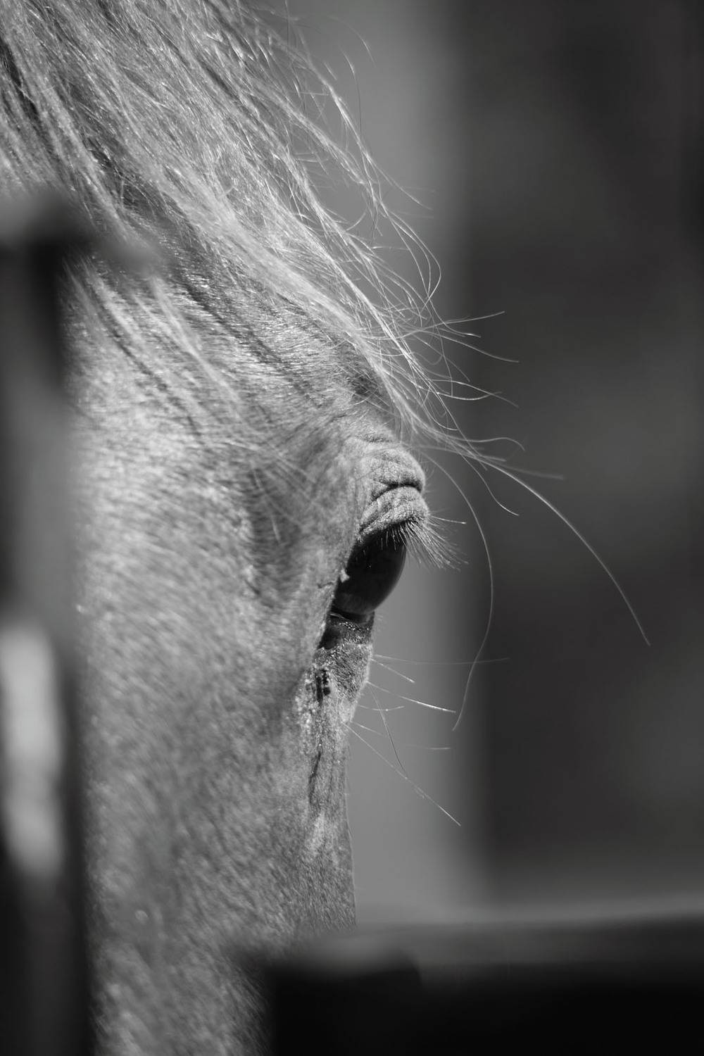 , ГАЛИНА-НЕБЕСНАЯ