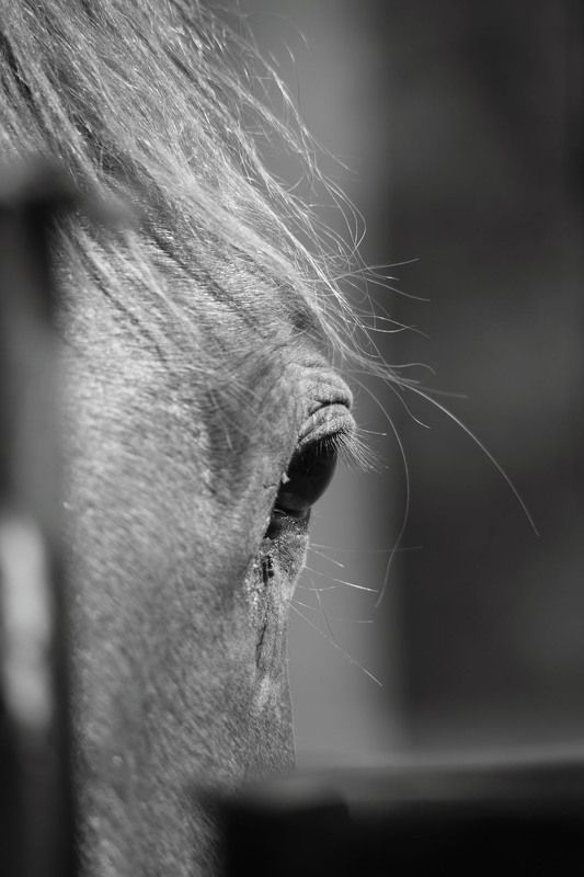 ЗНАКОМСТВО фото превью