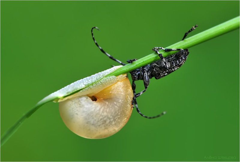 Почти как у людей :-) фото превью