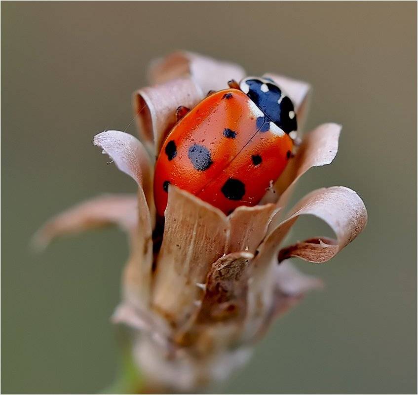 , Евгений Кирилкин.
