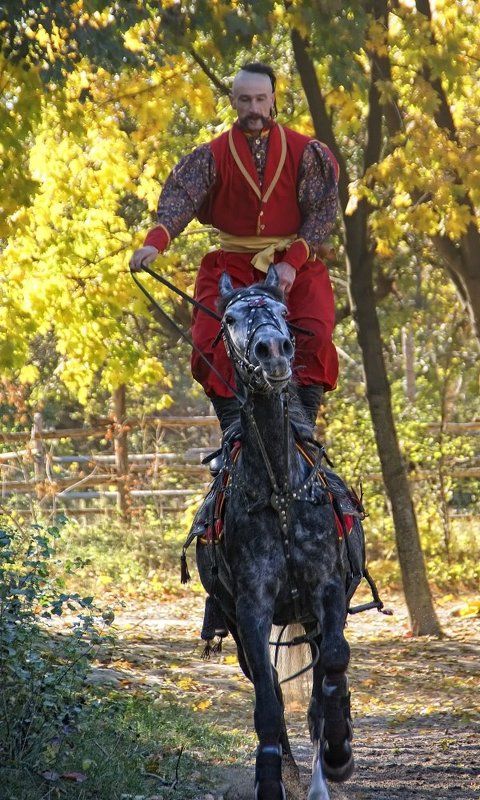 галоп По коням фото превью