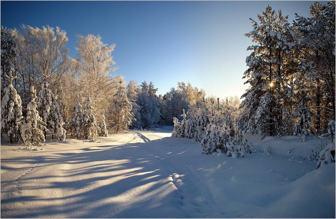 , Андрей Куликов