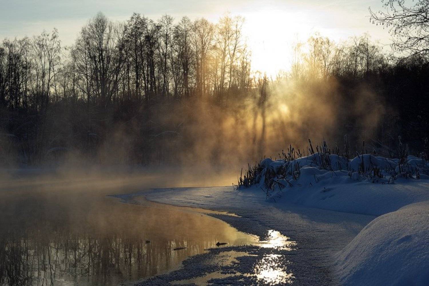 , Alexander Samofalov