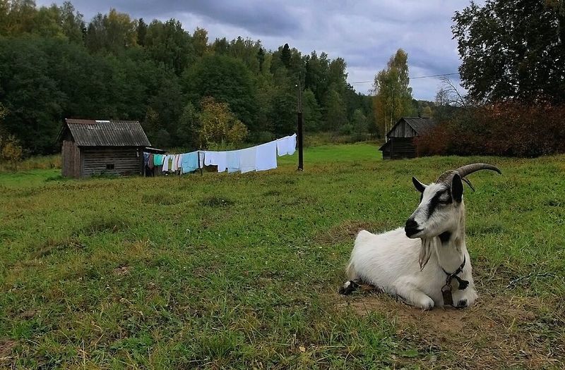Суббота фото превью
