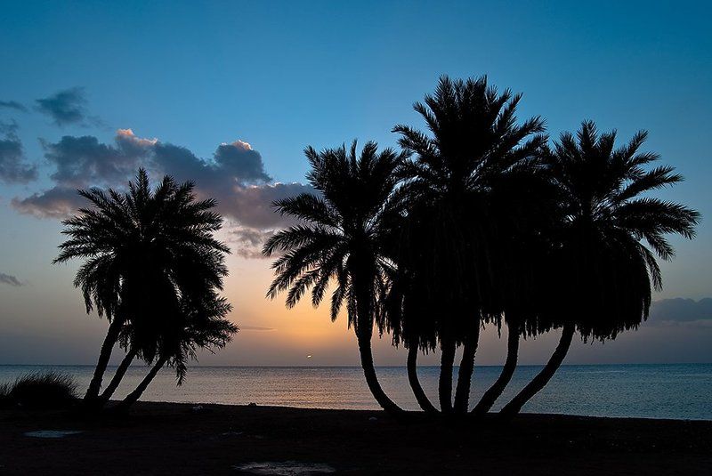 солнце, пальмы, рассвет, море, египет, дахаб Сон о рассвете... фото превью