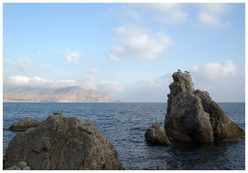 наблюдатели Наблюдатели фото превью