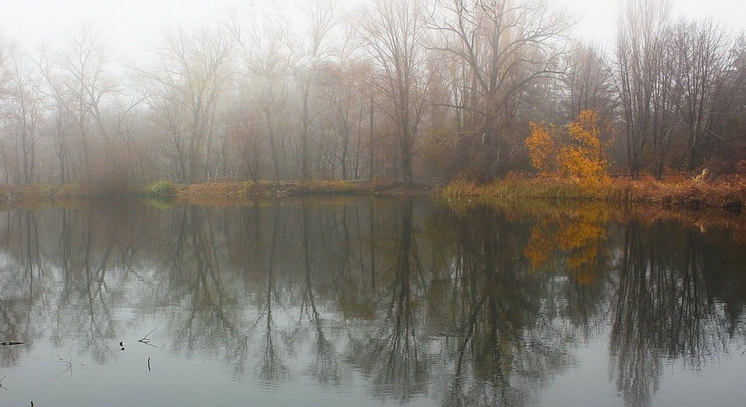 озеро, осень, Михаил