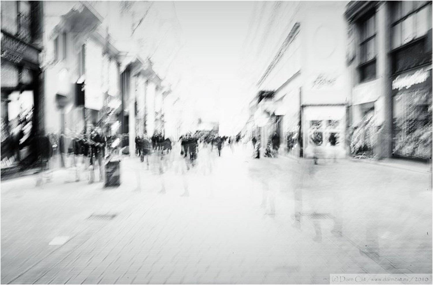 вена, город, люди, суета, спешить, улица, жанр, Darn Cat