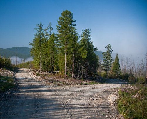две дороги в тайге? не страшно - сойдутся