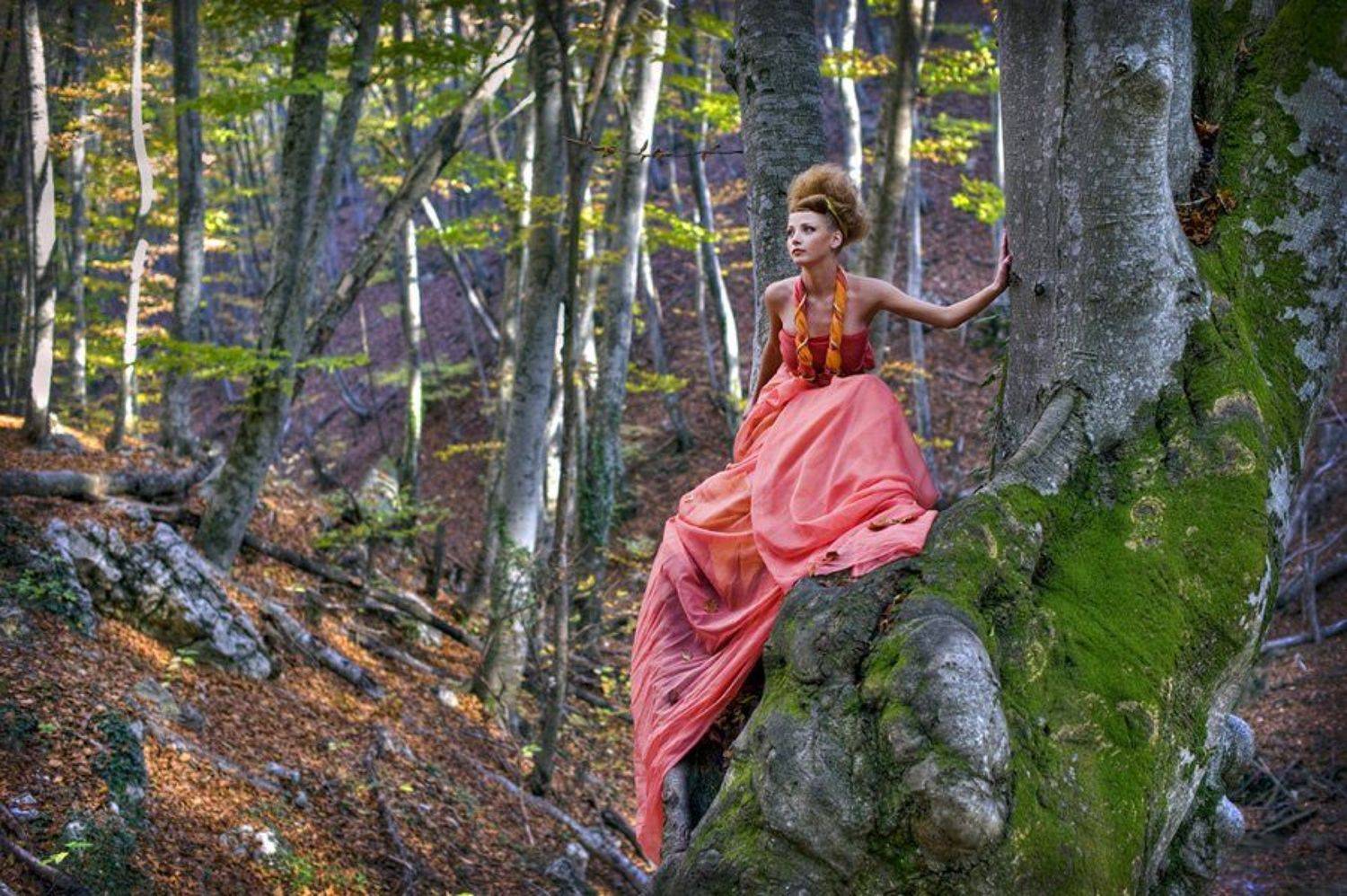 , Александр Борн