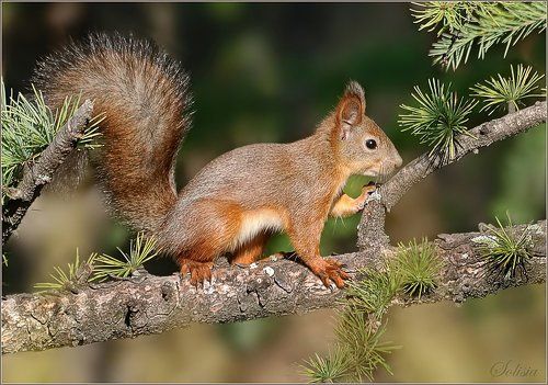 В интерьере