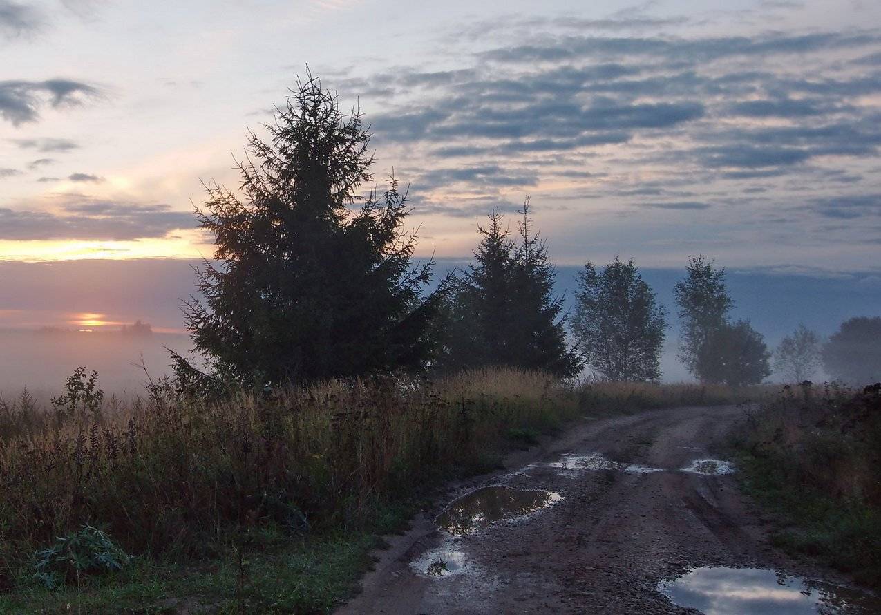 рассвет, дорога, лужи, Людмила Прокофьева