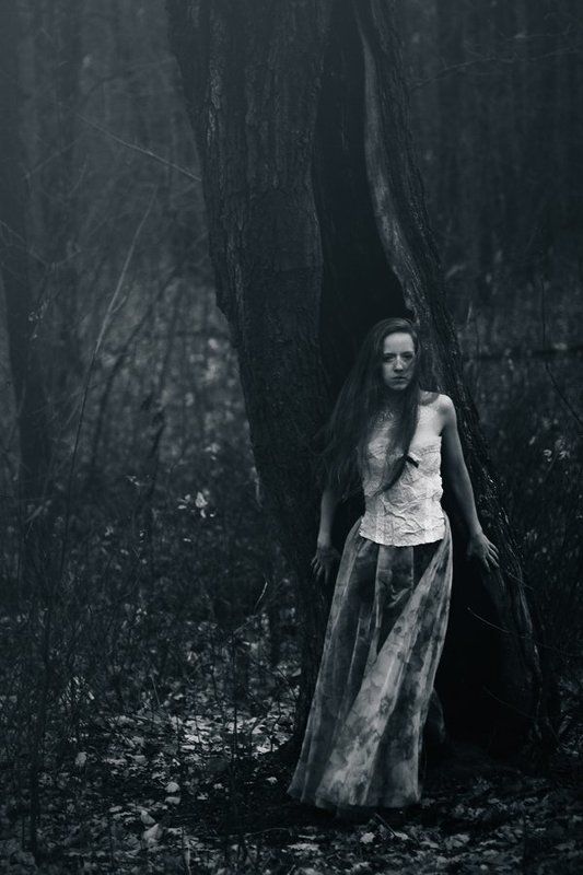 лес, девушка  фото превью