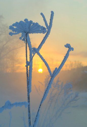 Зимние причуды