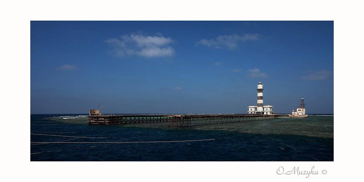 , Оксана Музыка