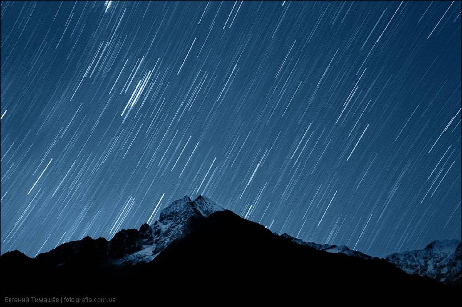 , Евгений Тимашёв