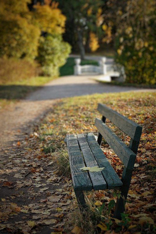 The invitation at autumn фото превью