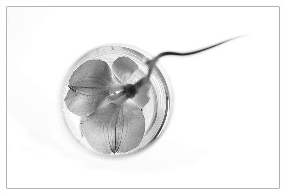 , Нарчук Андрей