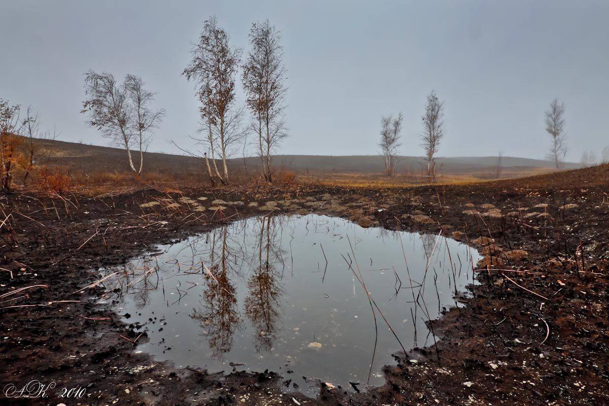 осень,ноябрь, Качурин Алексей