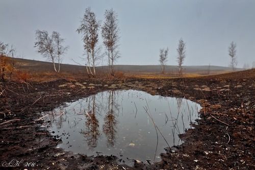 Зеркало Ноября.