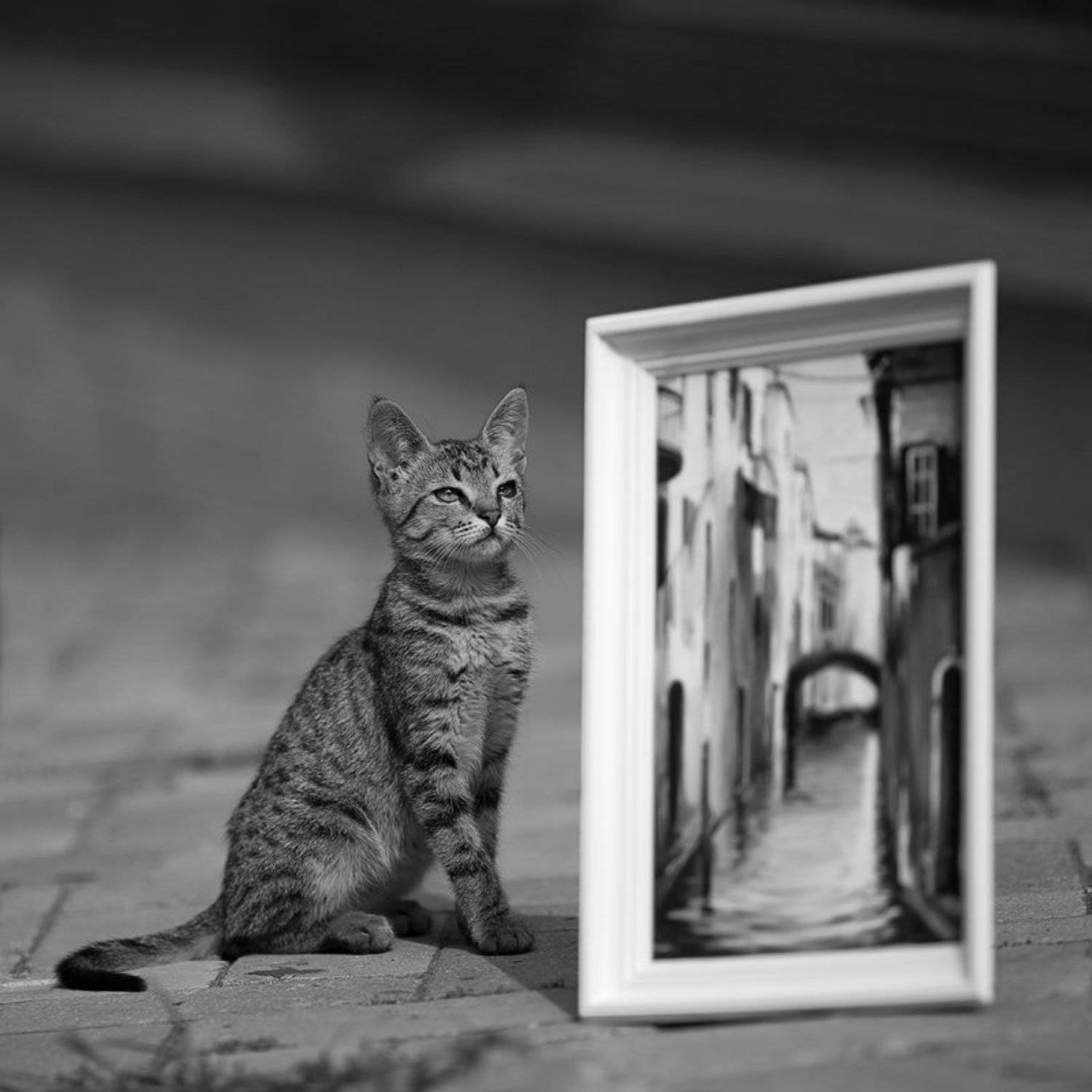 , Роман Николаев