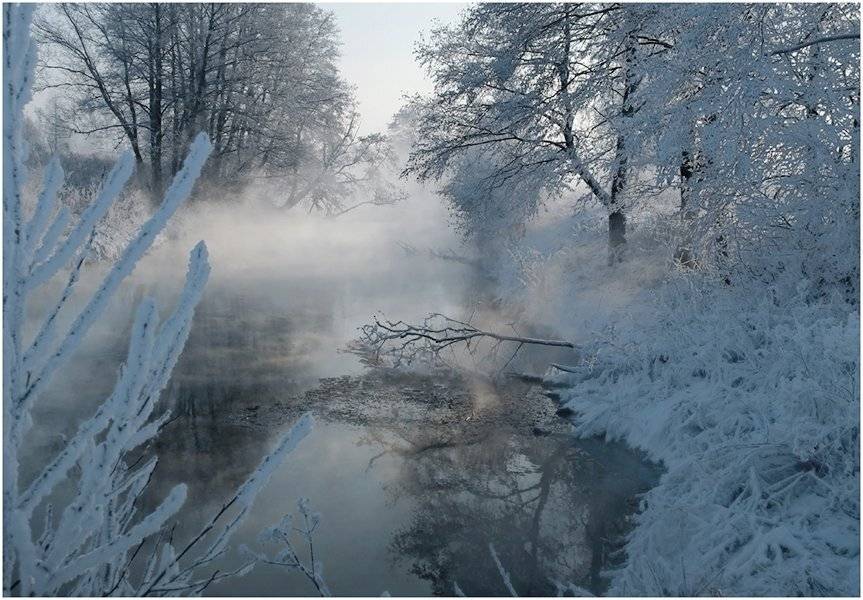 россия, подмосковье, иней, река, туман, вечер, Сергей Гаспарян